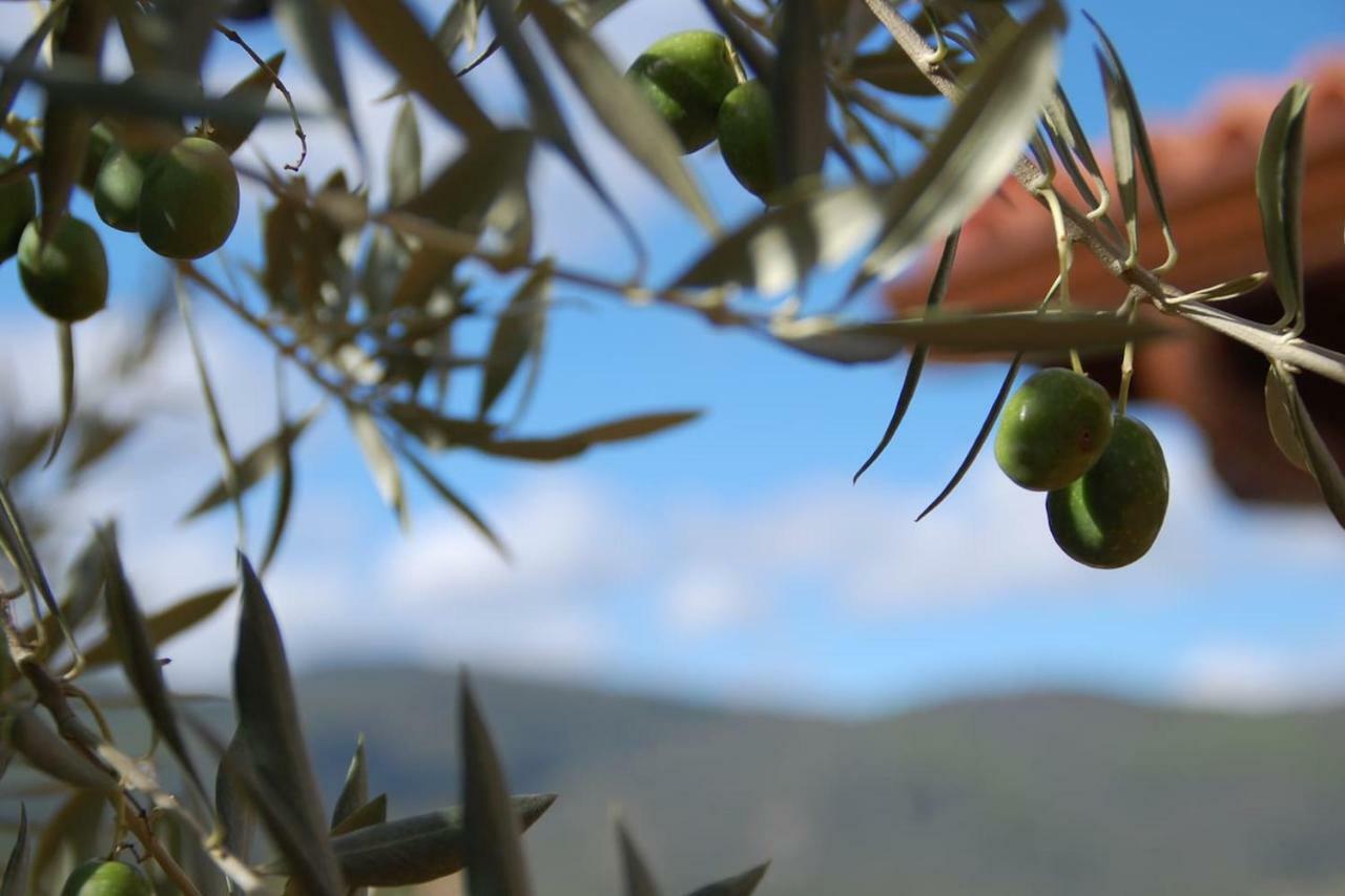 הוילה Navahondilla Las Vistas Del Tietar מראה חיצוני תמונה